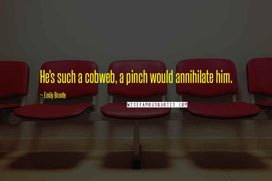 Emily Bronte Quotes: He's such a cobweb, a pinch would annihilate him.