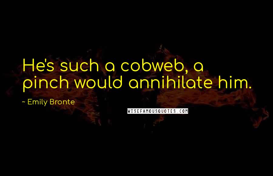 Emily Bronte Quotes: He's such a cobweb, a pinch would annihilate him.