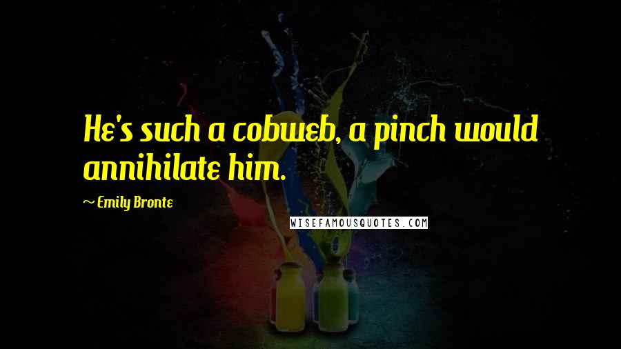 Emily Bronte Quotes: He's such a cobweb, a pinch would annihilate him.