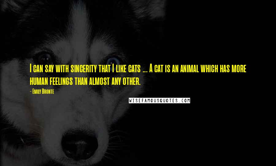 Emily Bronte Quotes: I can say with sincerity that I like cats ... A cat is an animal which has more human feelings than almost any other.