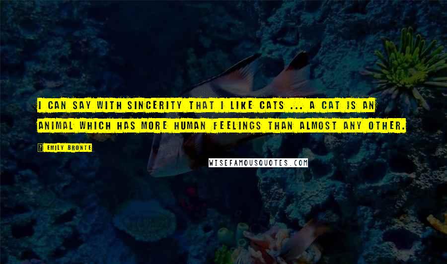 Emily Bronte Quotes: I can say with sincerity that I like cats ... A cat is an animal which has more human feelings than almost any other.