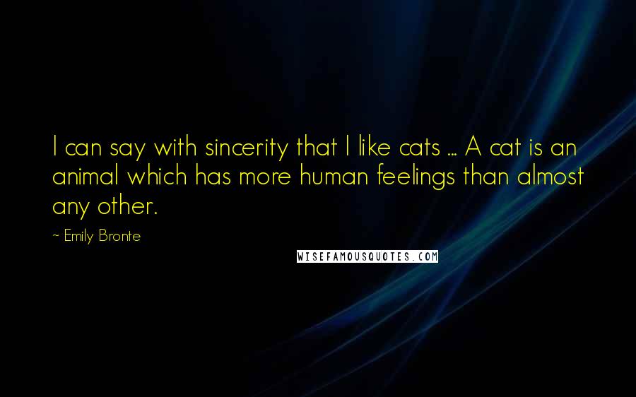 Emily Bronte Quotes: I can say with sincerity that I like cats ... A cat is an animal which has more human feelings than almost any other.