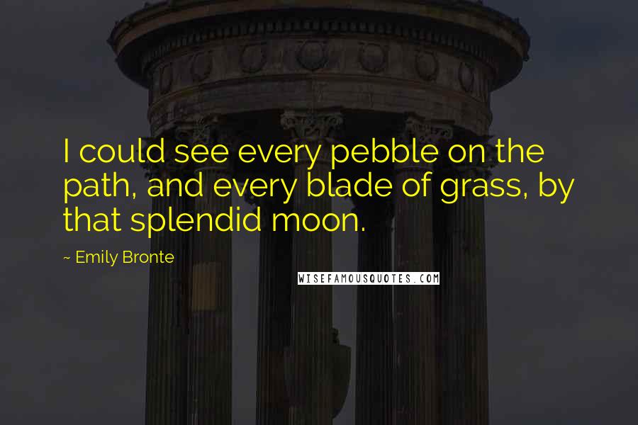 Emily Bronte Quotes: I could see every pebble on the path, and every blade of grass, by that splendid moon.