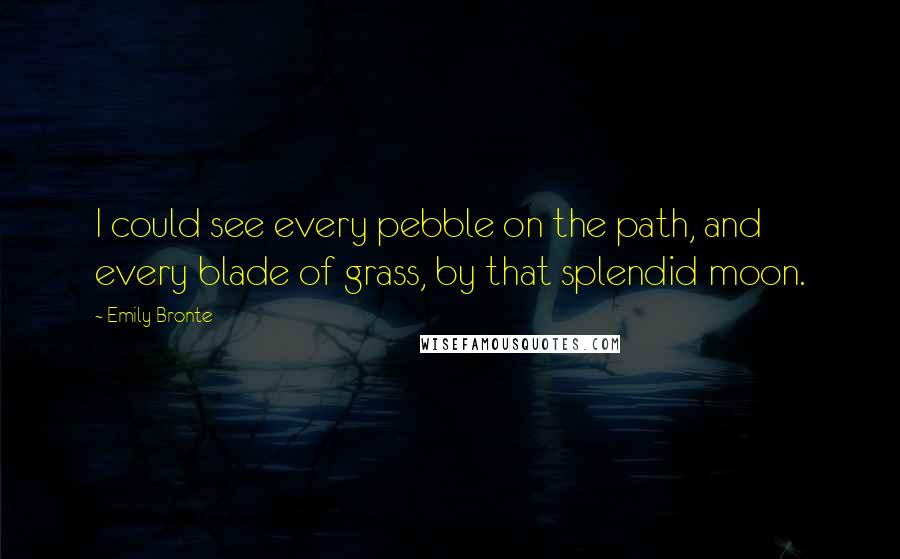 Emily Bronte Quotes: I could see every pebble on the path, and every blade of grass, by that splendid moon.