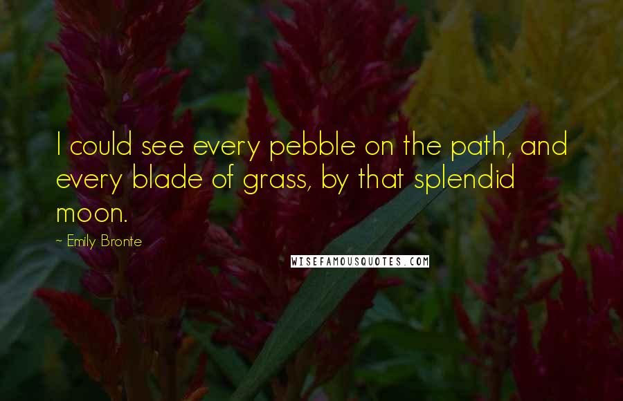 Emily Bronte Quotes: I could see every pebble on the path, and every blade of grass, by that splendid moon.