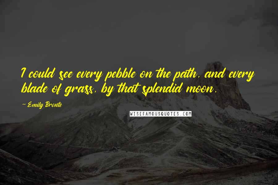 Emily Bronte Quotes: I could see every pebble on the path, and every blade of grass, by that splendid moon.