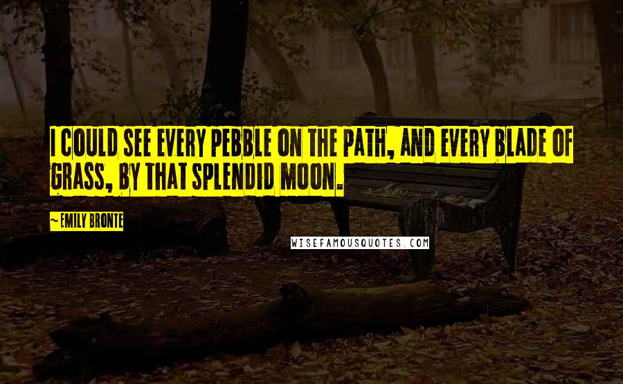 Emily Bronte Quotes: I could see every pebble on the path, and every blade of grass, by that splendid moon.