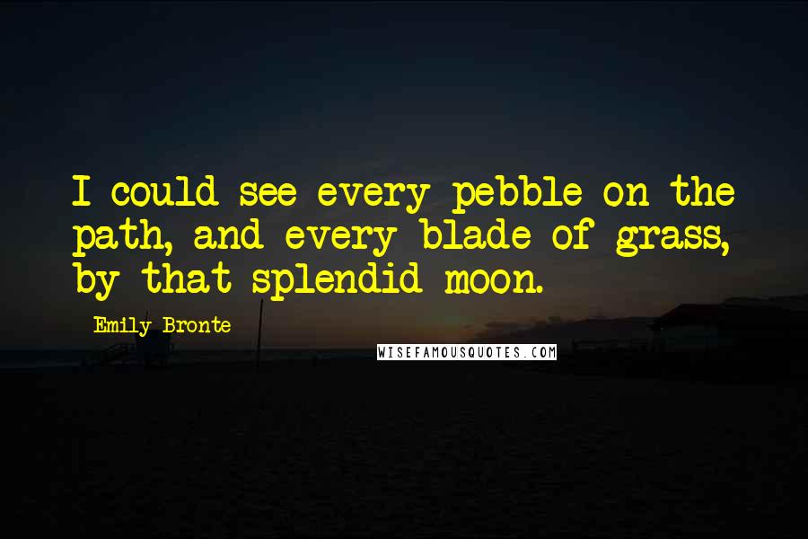 Emily Bronte Quotes: I could see every pebble on the path, and every blade of grass, by that splendid moon.