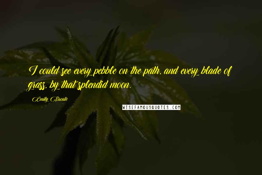 Emily Bronte Quotes: I could see every pebble on the path, and every blade of grass, by that splendid moon.