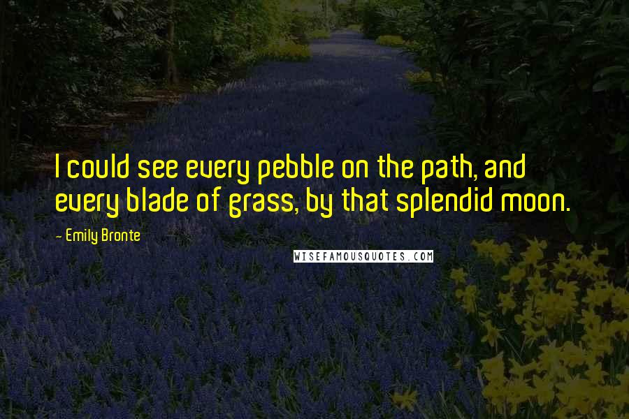 Emily Bronte Quotes: I could see every pebble on the path, and every blade of grass, by that splendid moon.