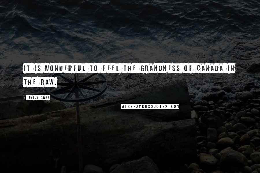 Emily Carr Quotes: It is wonderful to feel the grandness of Canada in the raw.