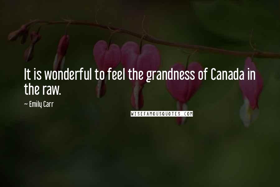 Emily Carr Quotes: It is wonderful to feel the grandness of Canada in the raw.