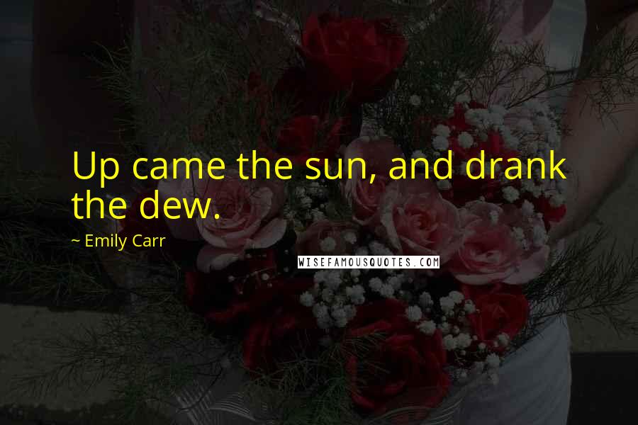 Emily Carr Quotes: Up came the sun, and drank the dew.