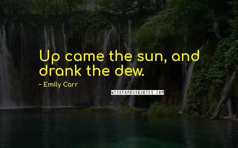 Emily Carr Quotes: Up came the sun, and drank the dew.