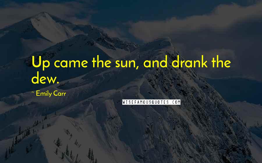 Emily Carr Quotes: Up came the sun, and drank the dew.