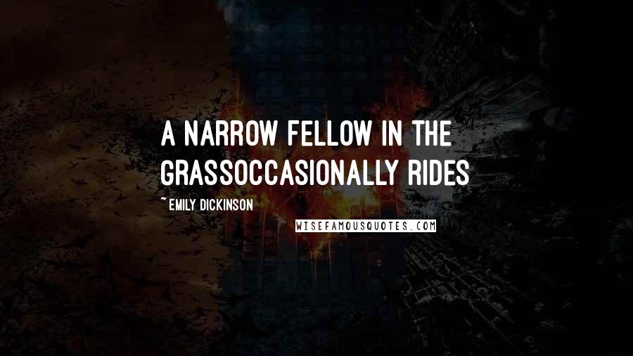 Emily Dickinson Quotes: A narrow Fellow in the GrassOccasionally rides