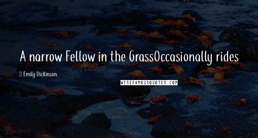 Emily Dickinson Quotes: A narrow Fellow in the GrassOccasionally rides