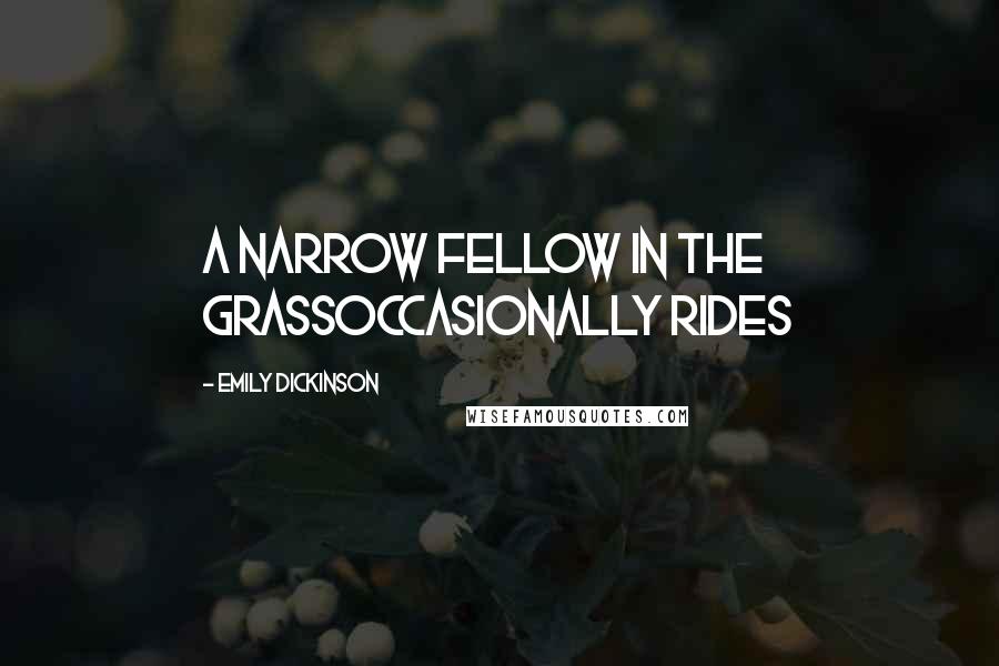 Emily Dickinson Quotes: A narrow Fellow in the GrassOccasionally rides