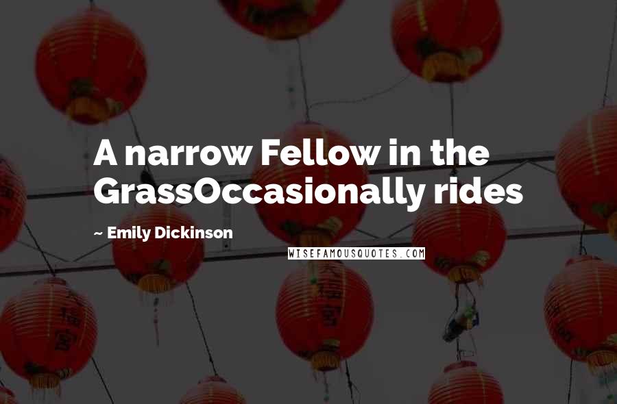 Emily Dickinson Quotes: A narrow Fellow in the GrassOccasionally rides