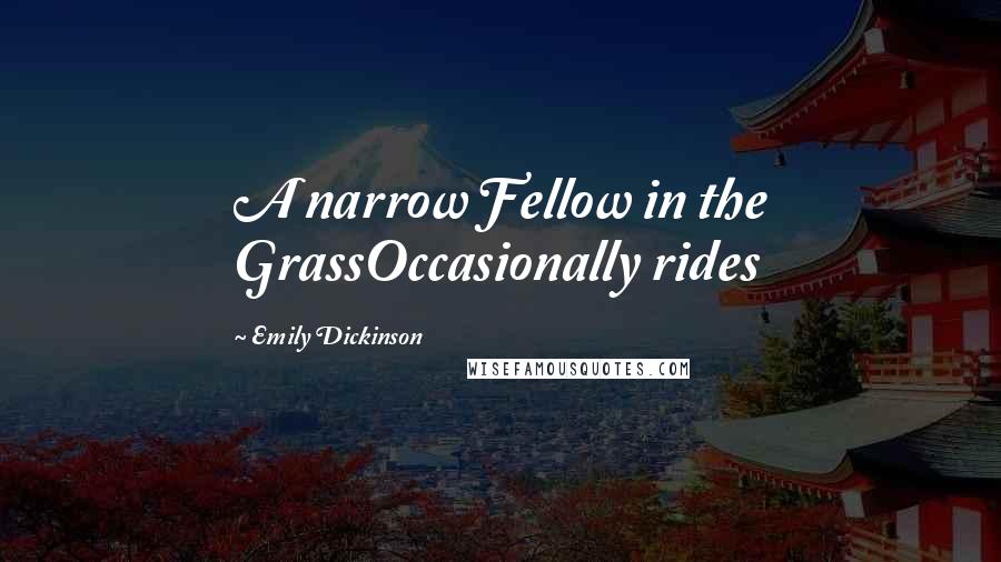 Emily Dickinson Quotes: A narrow Fellow in the GrassOccasionally rides