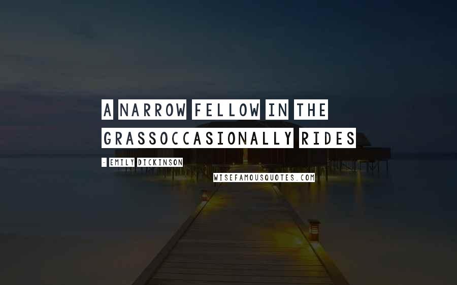 Emily Dickinson Quotes: A narrow Fellow in the GrassOccasionally rides