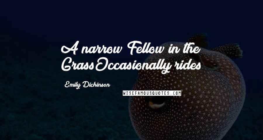 Emily Dickinson Quotes: A narrow Fellow in the GrassOccasionally rides