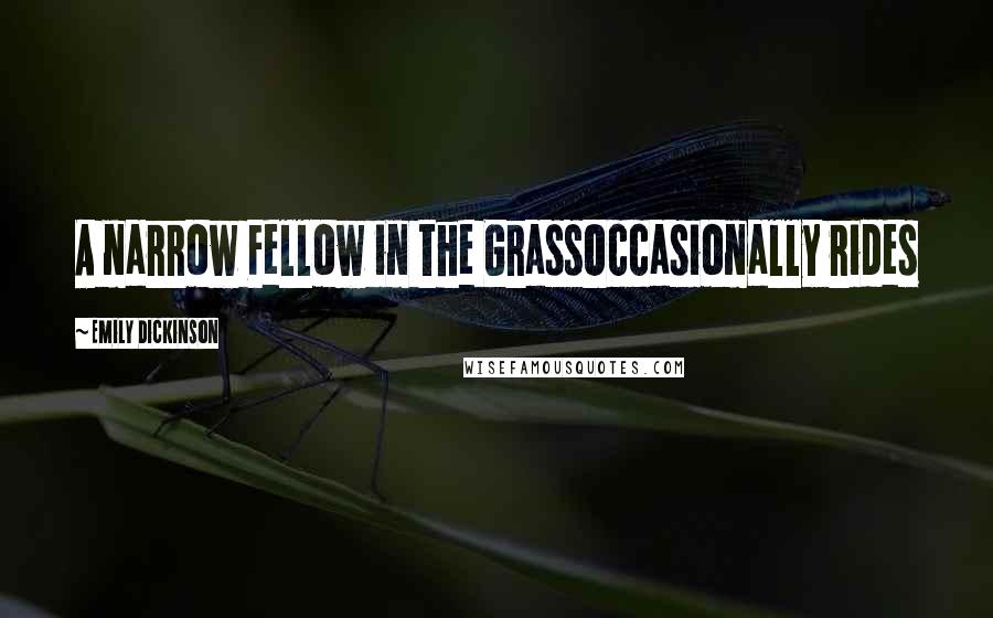 Emily Dickinson Quotes: A narrow Fellow in the GrassOccasionally rides