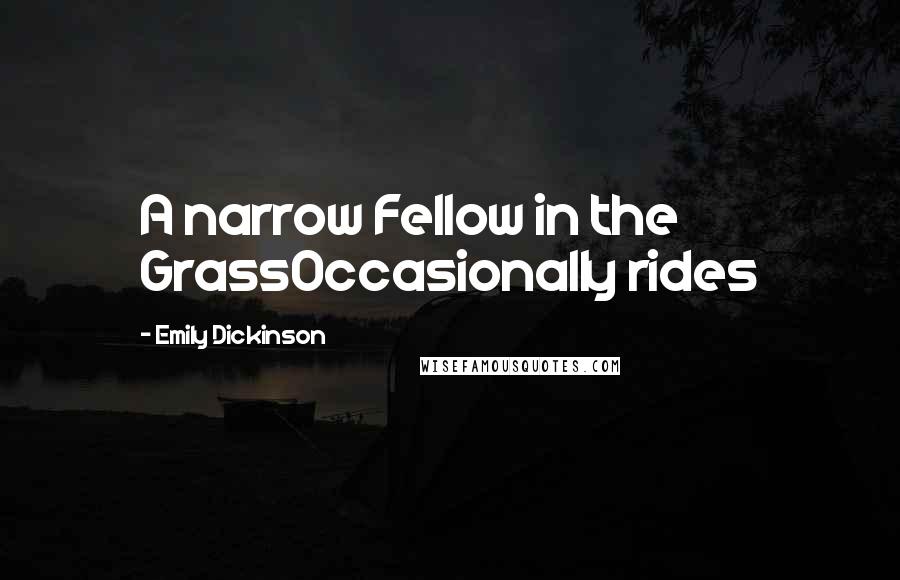 Emily Dickinson Quotes: A narrow Fellow in the GrassOccasionally rides