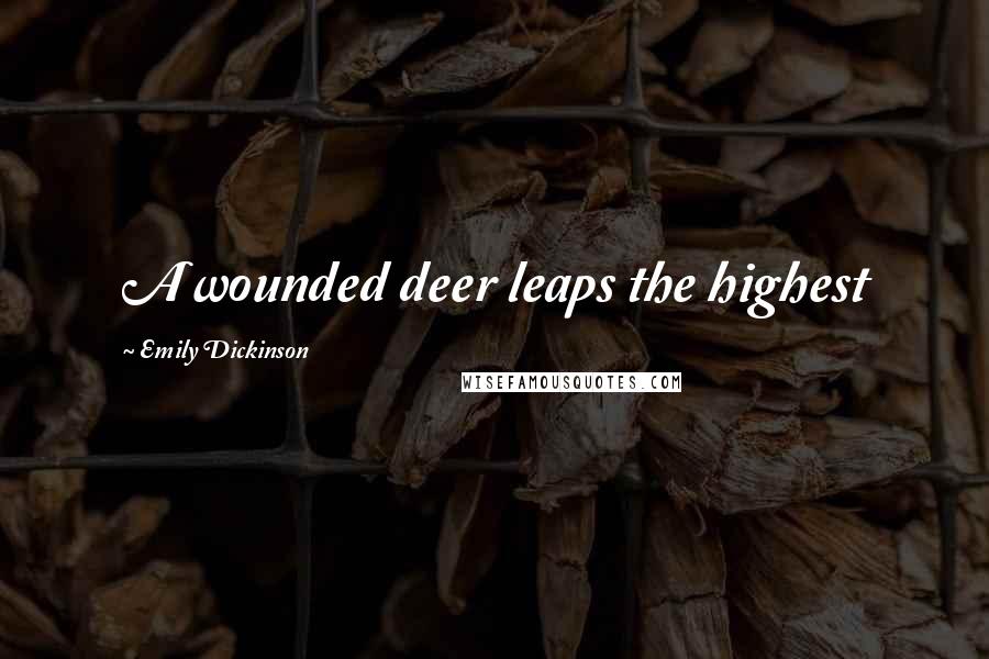 Emily Dickinson Quotes: A wounded deer leaps the highest