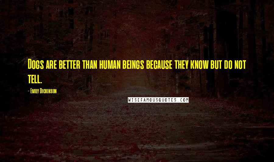 Emily Dickinson Quotes: Dogs are better than human beings because they know but do not tell.