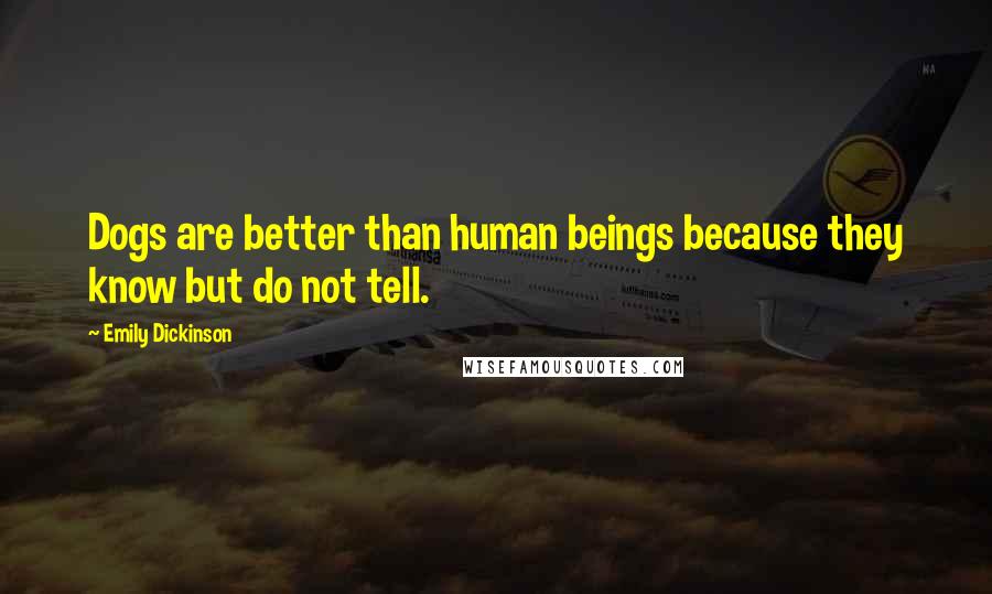 Emily Dickinson Quotes: Dogs are better than human beings because they know but do not tell.