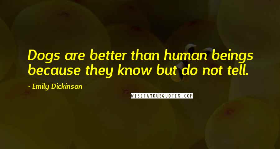 Emily Dickinson Quotes: Dogs are better than human beings because they know but do not tell.