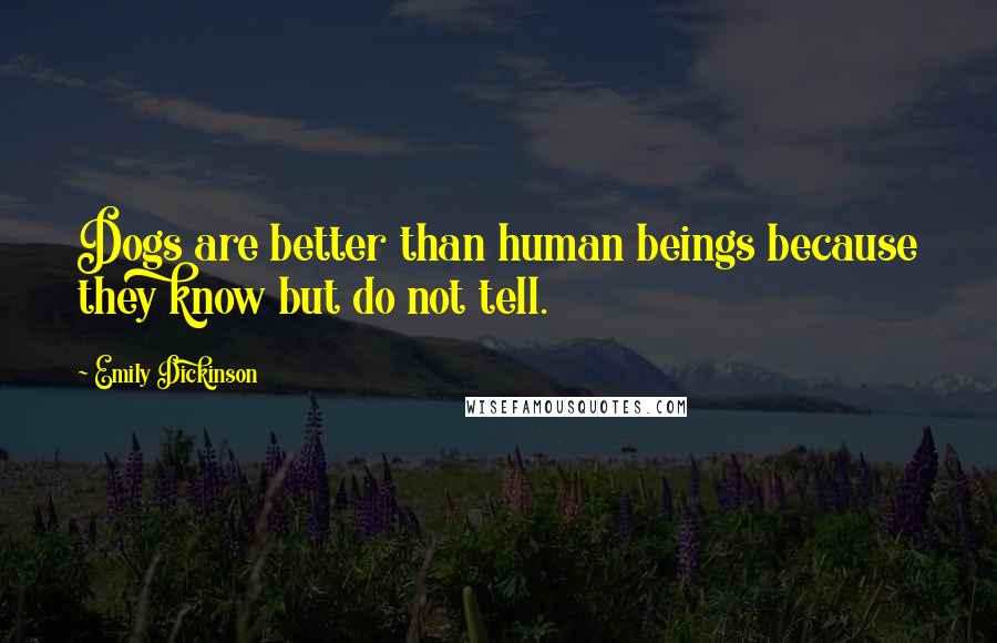 Emily Dickinson Quotes: Dogs are better than human beings because they know but do not tell.