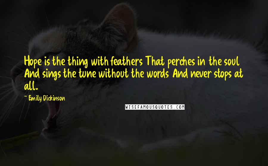 Emily Dickinson Quotes: Hope is the thing with feathers That perches in the soul And sings the tune without the words And never stops at all.