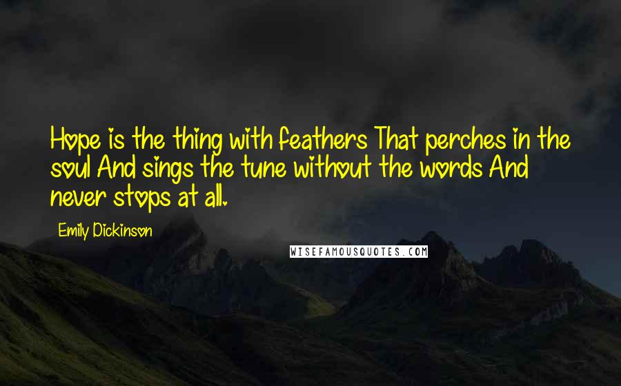 Emily Dickinson Quotes: Hope is the thing with feathers That perches in the soul And sings the tune without the words And never stops at all.