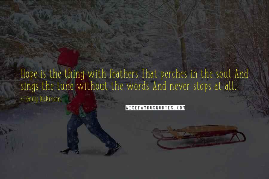 Emily Dickinson Quotes: Hope is the thing with feathers That perches in the soul And sings the tune without the words And never stops at all.