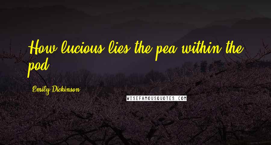 Emily Dickinson Quotes: How lucious lies the pea within the pod.