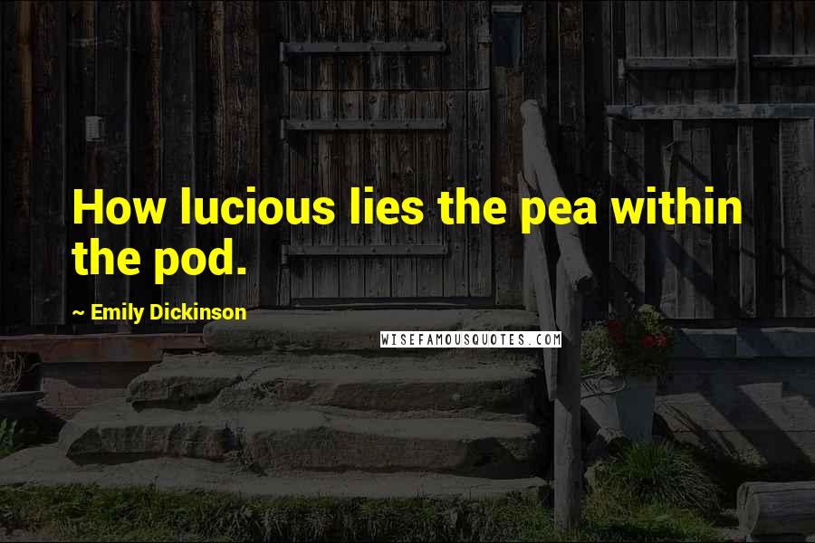 Emily Dickinson Quotes: How lucious lies the pea within the pod.