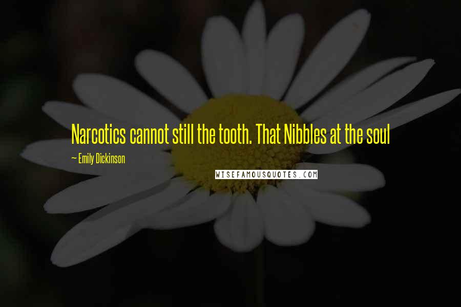 Emily Dickinson Quotes: Narcotics cannot still the tooth. That Nibbles at the soul