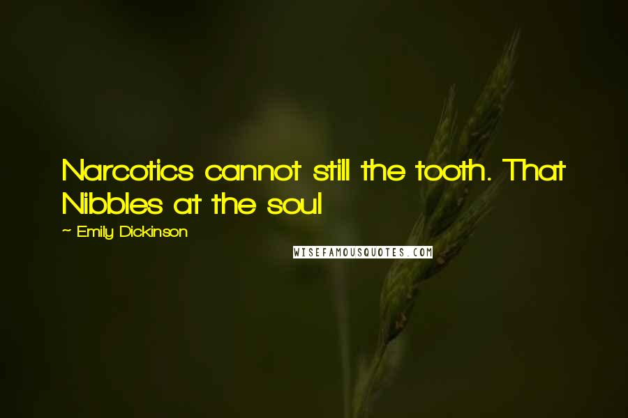 Emily Dickinson Quotes: Narcotics cannot still the tooth. That Nibbles at the soul