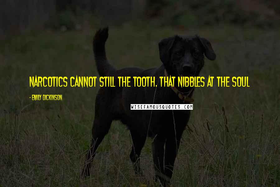 Emily Dickinson Quotes: Narcotics cannot still the tooth. That Nibbles at the soul