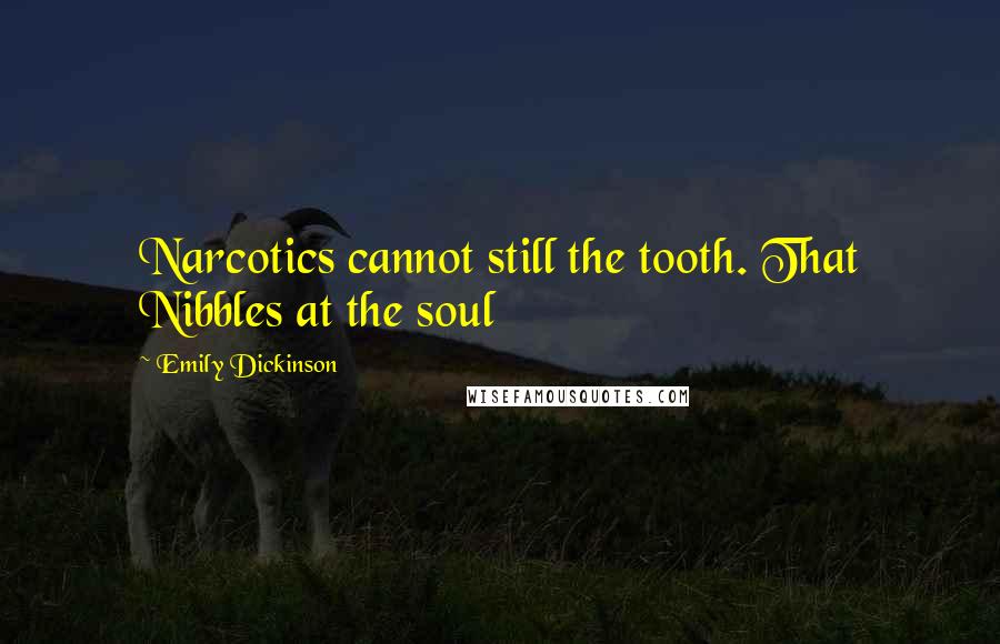 Emily Dickinson Quotes: Narcotics cannot still the tooth. That Nibbles at the soul