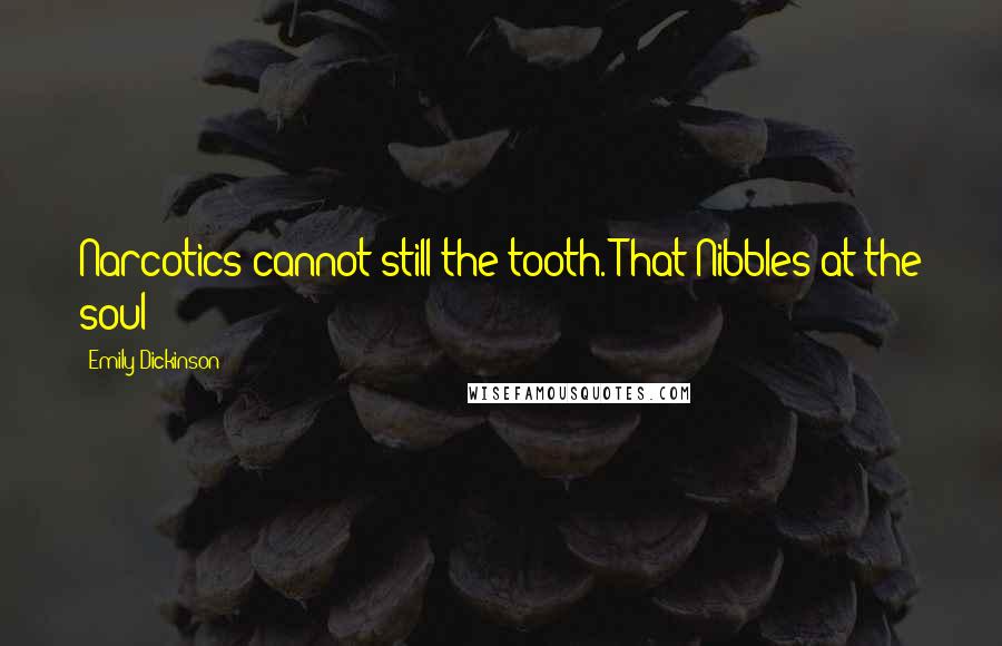 Emily Dickinson Quotes: Narcotics cannot still the tooth. That Nibbles at the soul