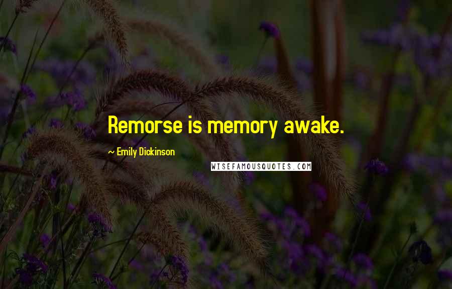 Emily Dickinson Quotes: Remorse is memory awake.