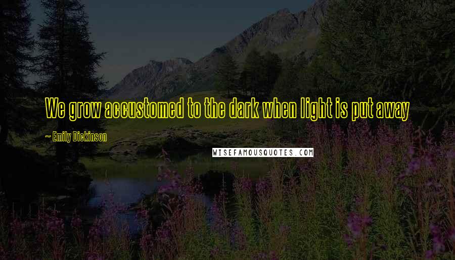 Emily Dickinson Quotes: We grow accustomed to the dark when light is put away