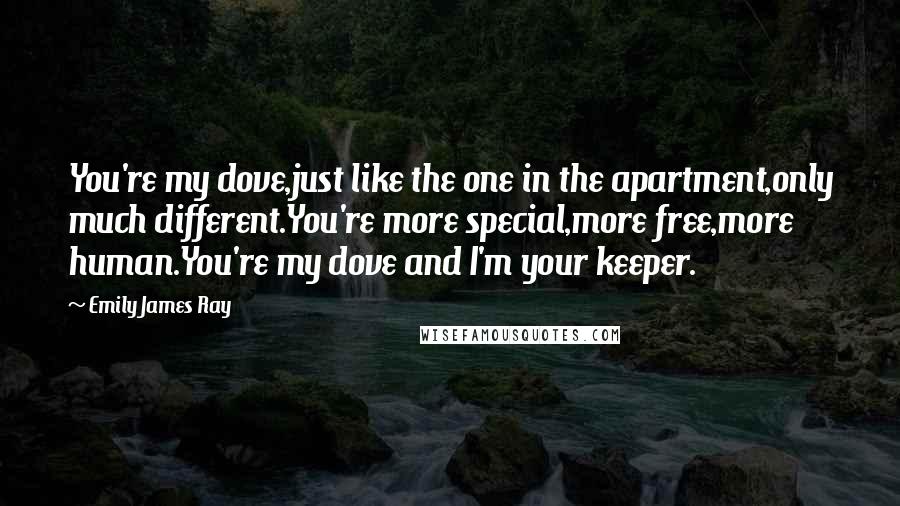 Emily James Ray Quotes: You're my dove,just like the one in the apartment,only much different.You're more special,more free,more human.You're my dove and I'm your keeper.