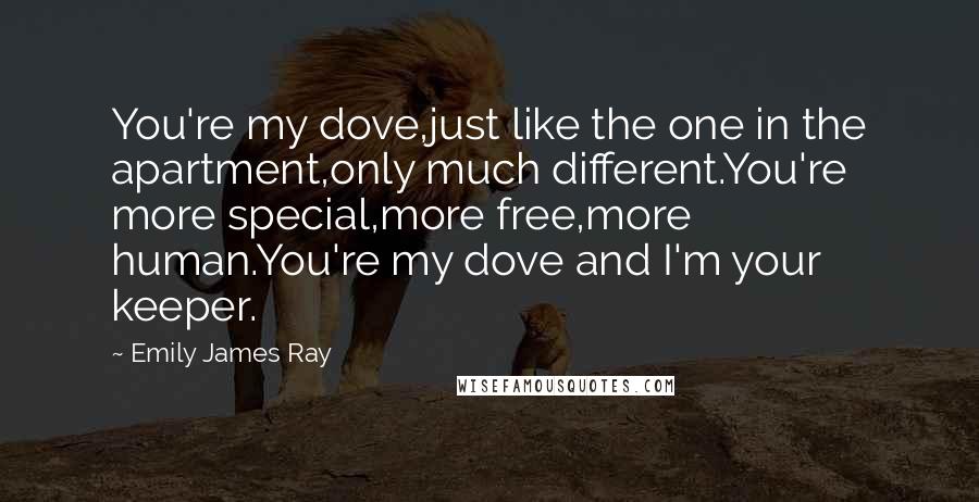 Emily James Ray Quotes: You're my dove,just like the one in the apartment,only much different.You're more special,more free,more human.You're my dove and I'm your keeper.