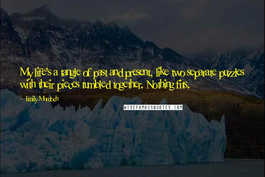 Emily Murdoch Quotes: My life's a tangle of past and present, like two separate puzzles with their pieces tumbled together. Nothing fits.
