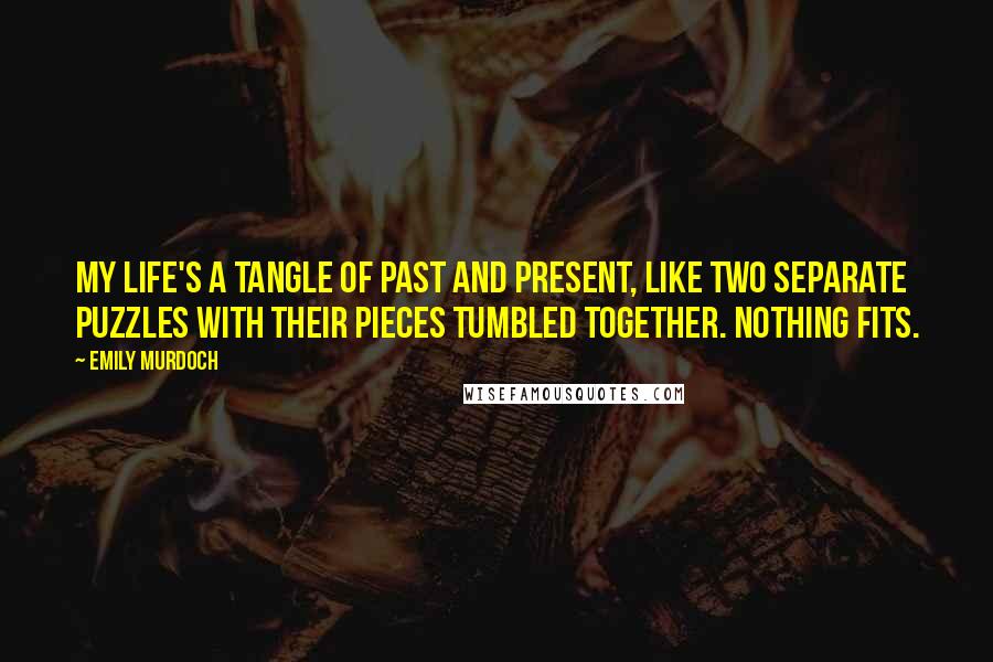 Emily Murdoch Quotes: My life's a tangle of past and present, like two separate puzzles with their pieces tumbled together. Nothing fits.