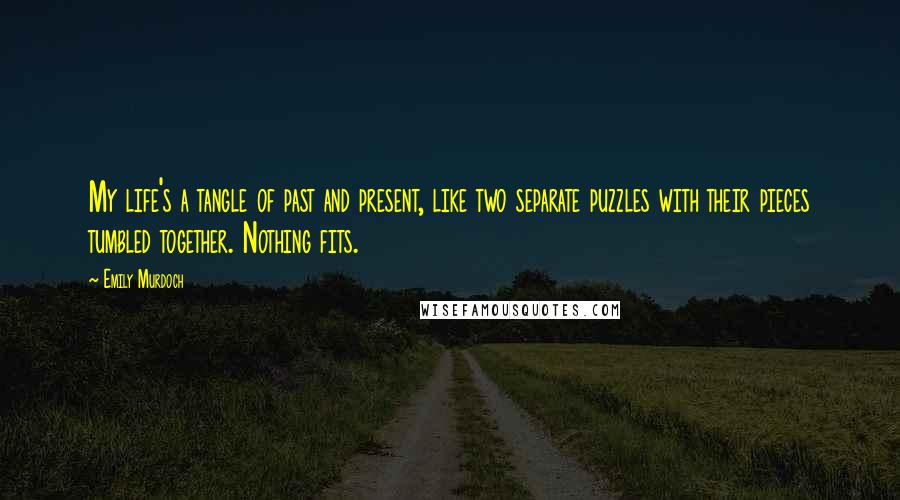 Emily Murdoch Quotes: My life's a tangle of past and present, like two separate puzzles with their pieces tumbled together. Nothing fits.